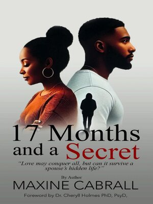 cover image of 17 Months and a Secret